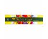 Nandi Divine Flora Incense